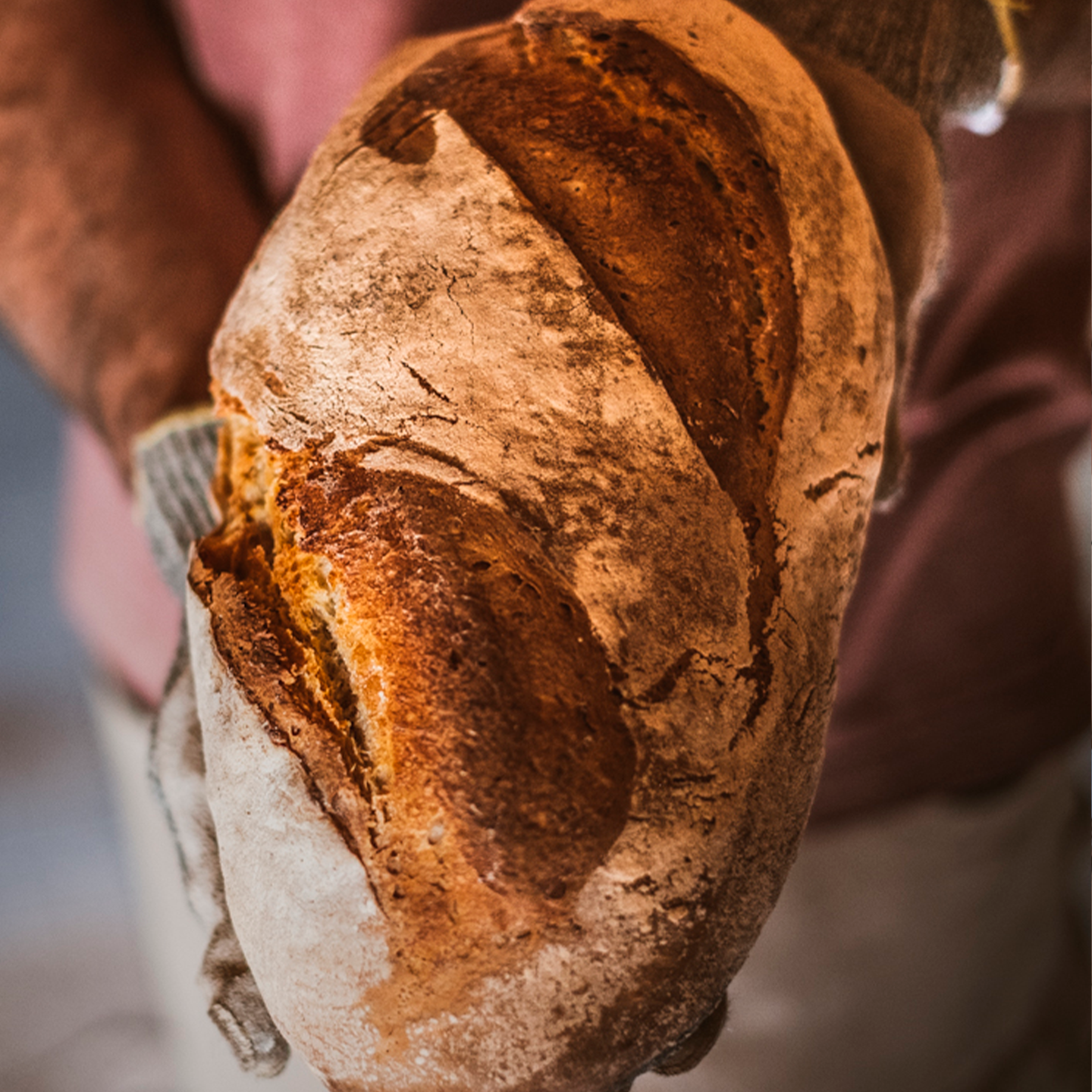 Fournil d'Orgemont